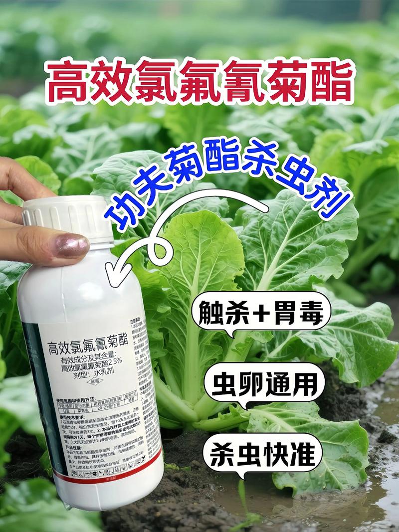 扬州代生中心:农药对供卵代生妈妈的危害